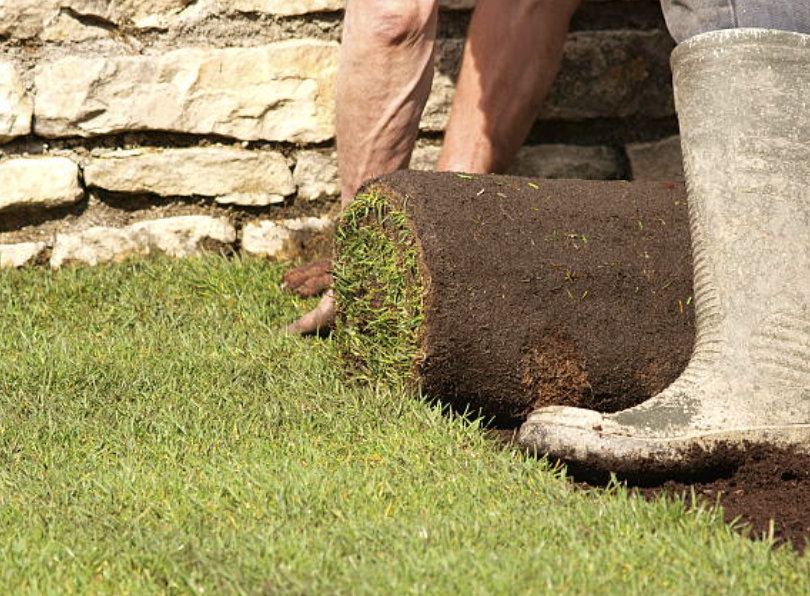 An image of Sod Installation Services in Lauderhill FL
